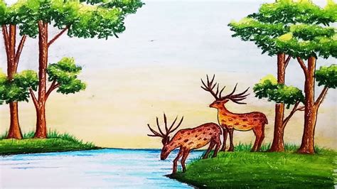 how to draw a forest with animals|Step.